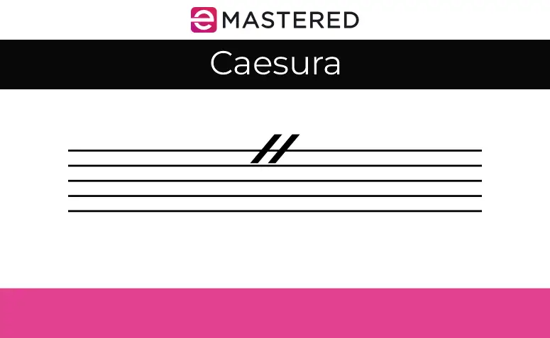 Understanding the Different Types of Rests in Music