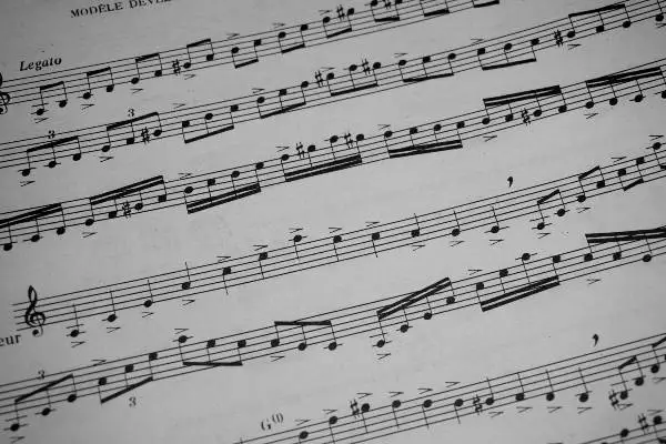 La armonía que nos conecta: la cadena musical – Musicadia