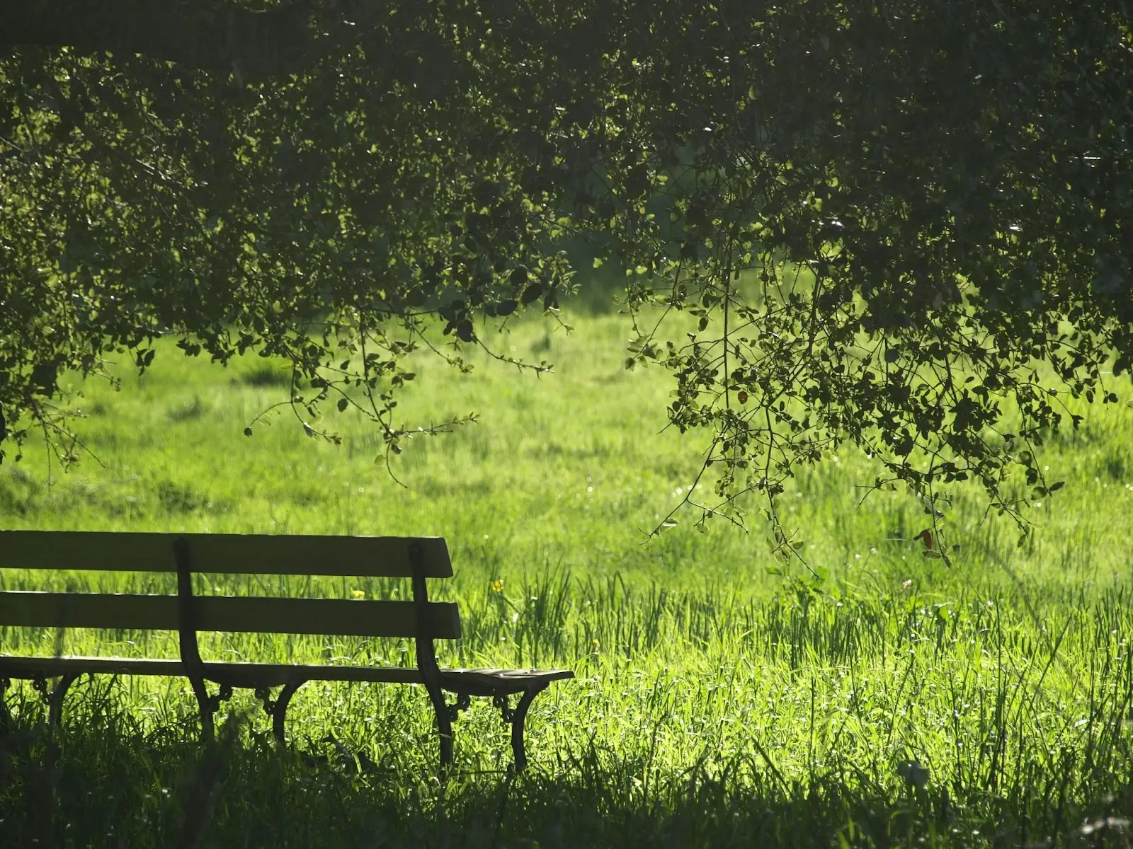 Фото Олесі Грічіної на Unsplash