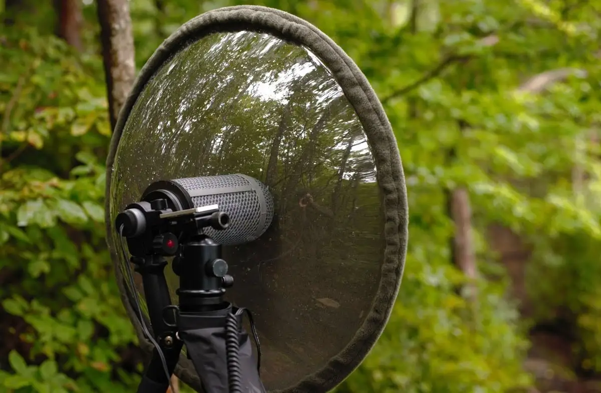 Mesmerizing A Parabolic Microphone Used On The Sidelines Design in 4K Mesmerizing A Parabolic Microphone Used On The Sidelines Design in 4K