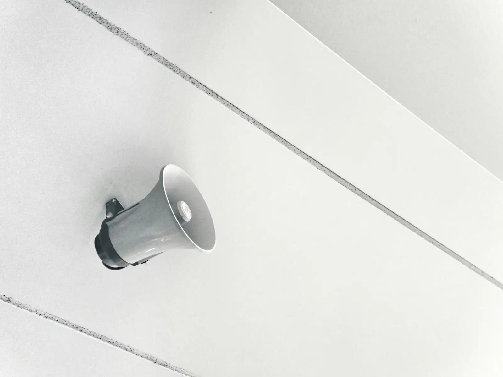 Foto von Possessed Photography auf Unsplash