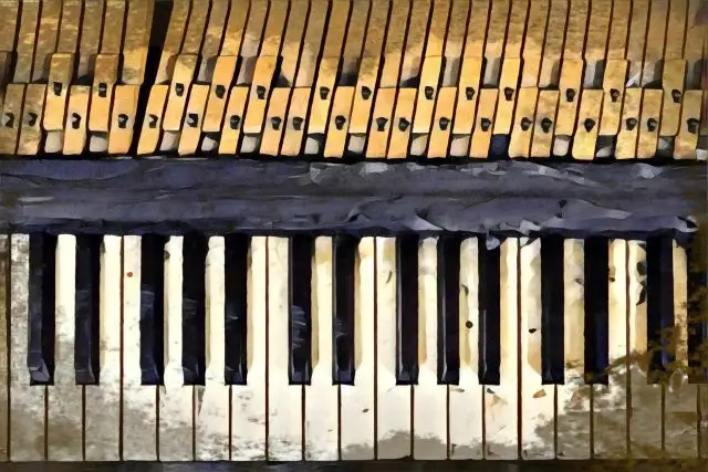 Polychords: Soittimet: Täydellinen aloittelijan opas